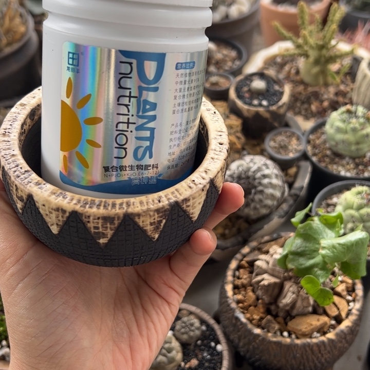 花盆+高钾肥缓释两个