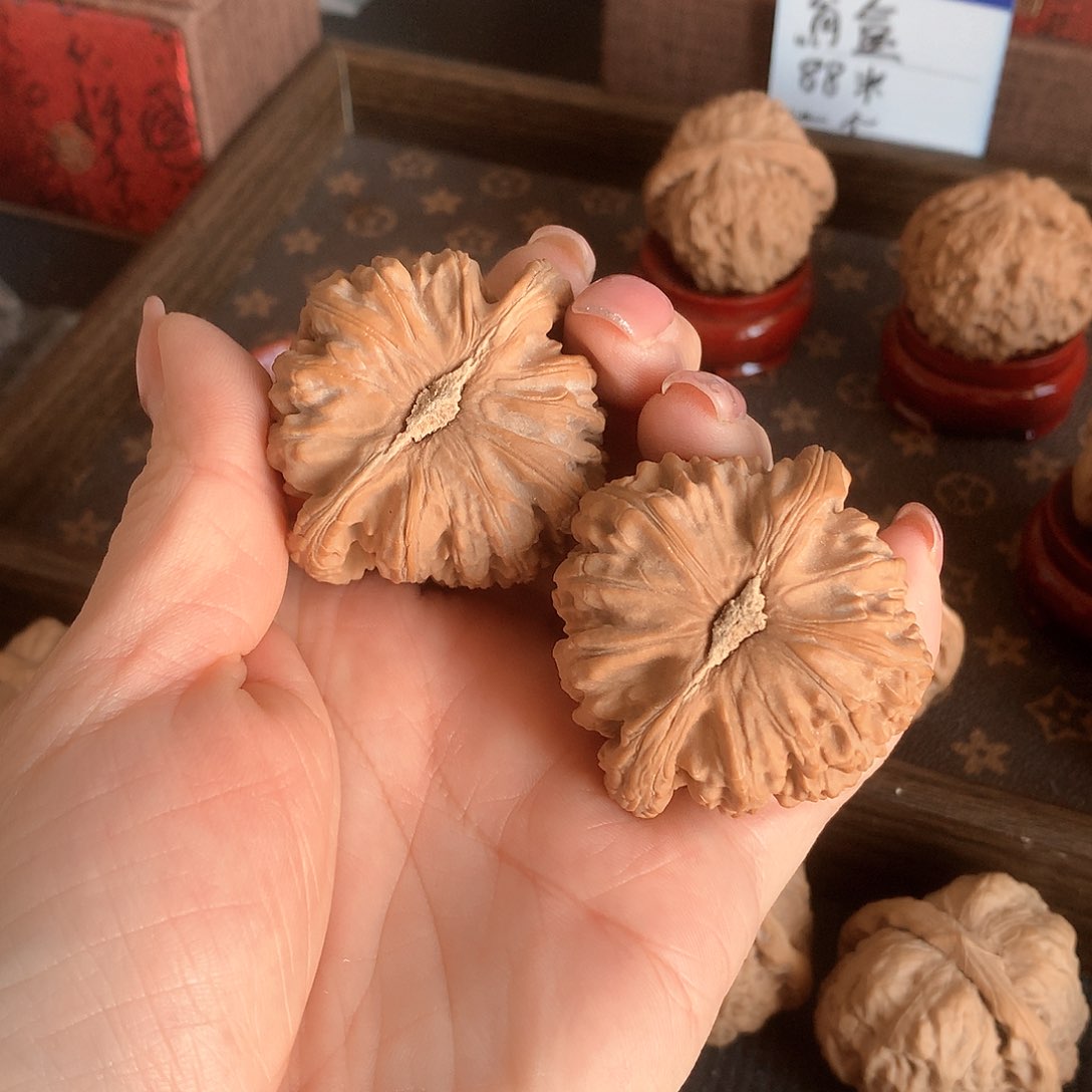 起*白狮子白狮子白狮子118