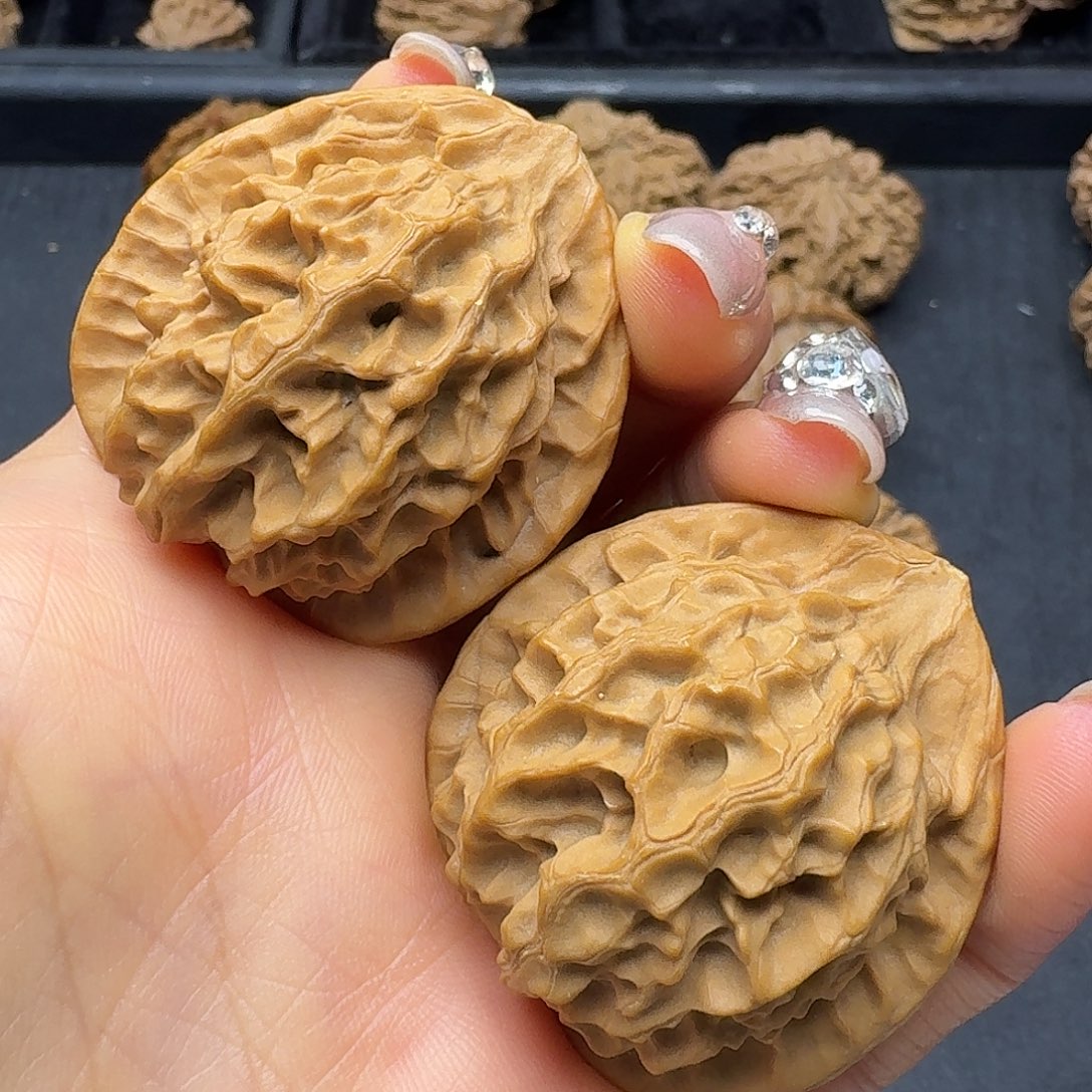 桃木突突突突突突突突