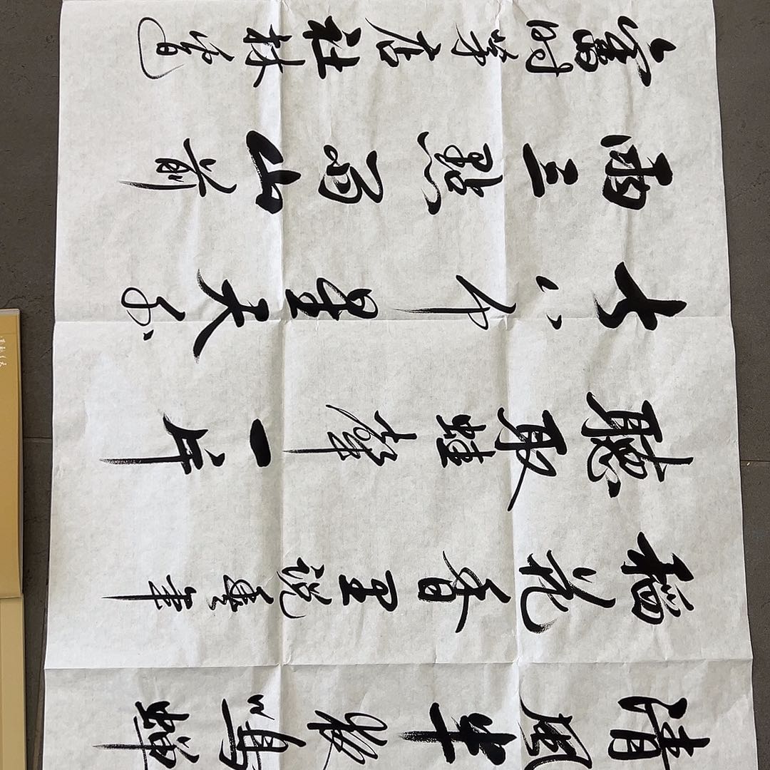 绘画陈志明老师作品