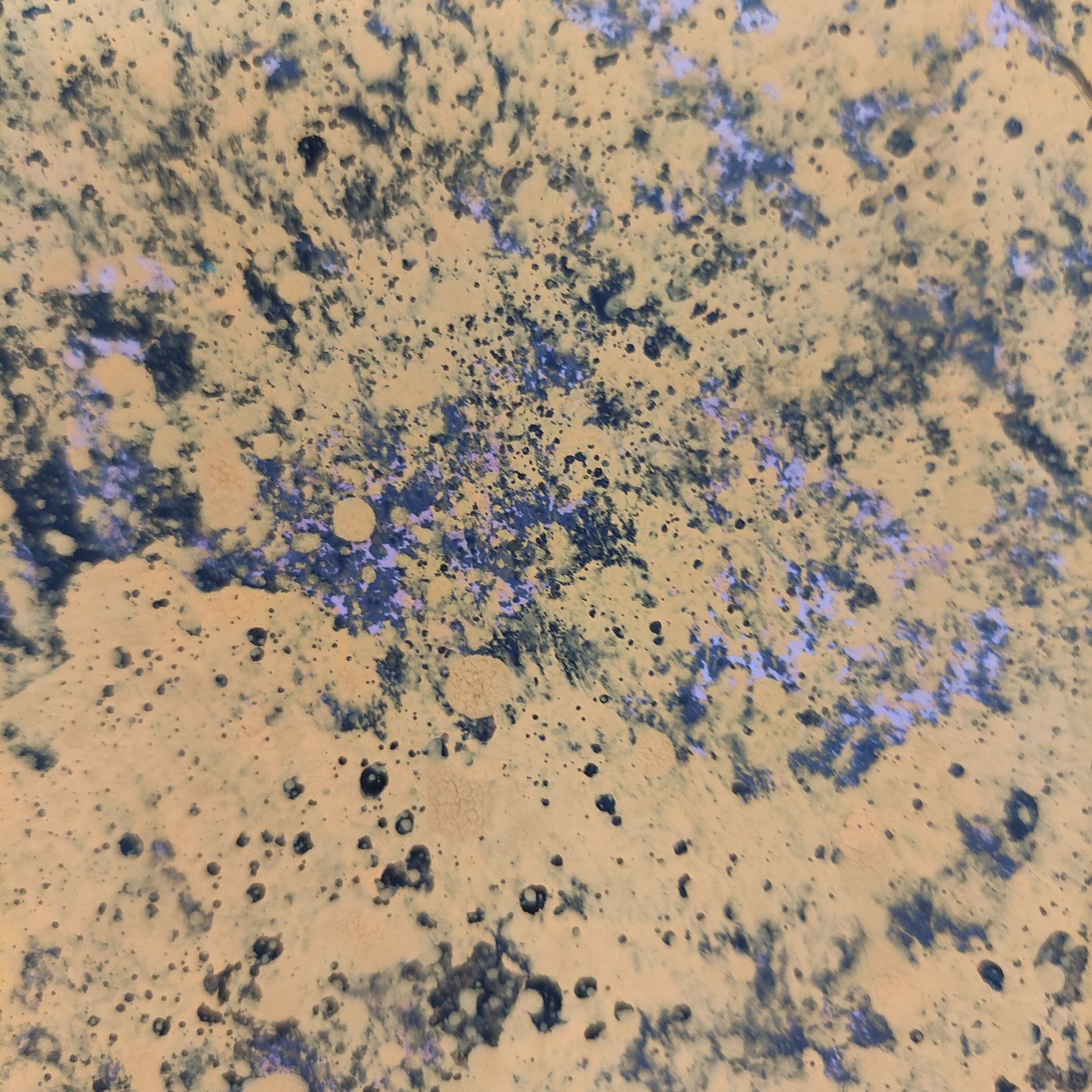 郭慧庆/胡杨/2.7平尺/国画