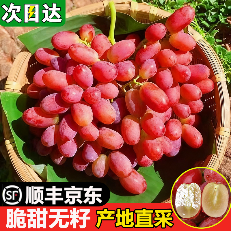 现货明日达【基地直采】TY大凉山克伦生葡萄新鲜当季水果冰美人无籽脆甜红提0.5-5斤四川省