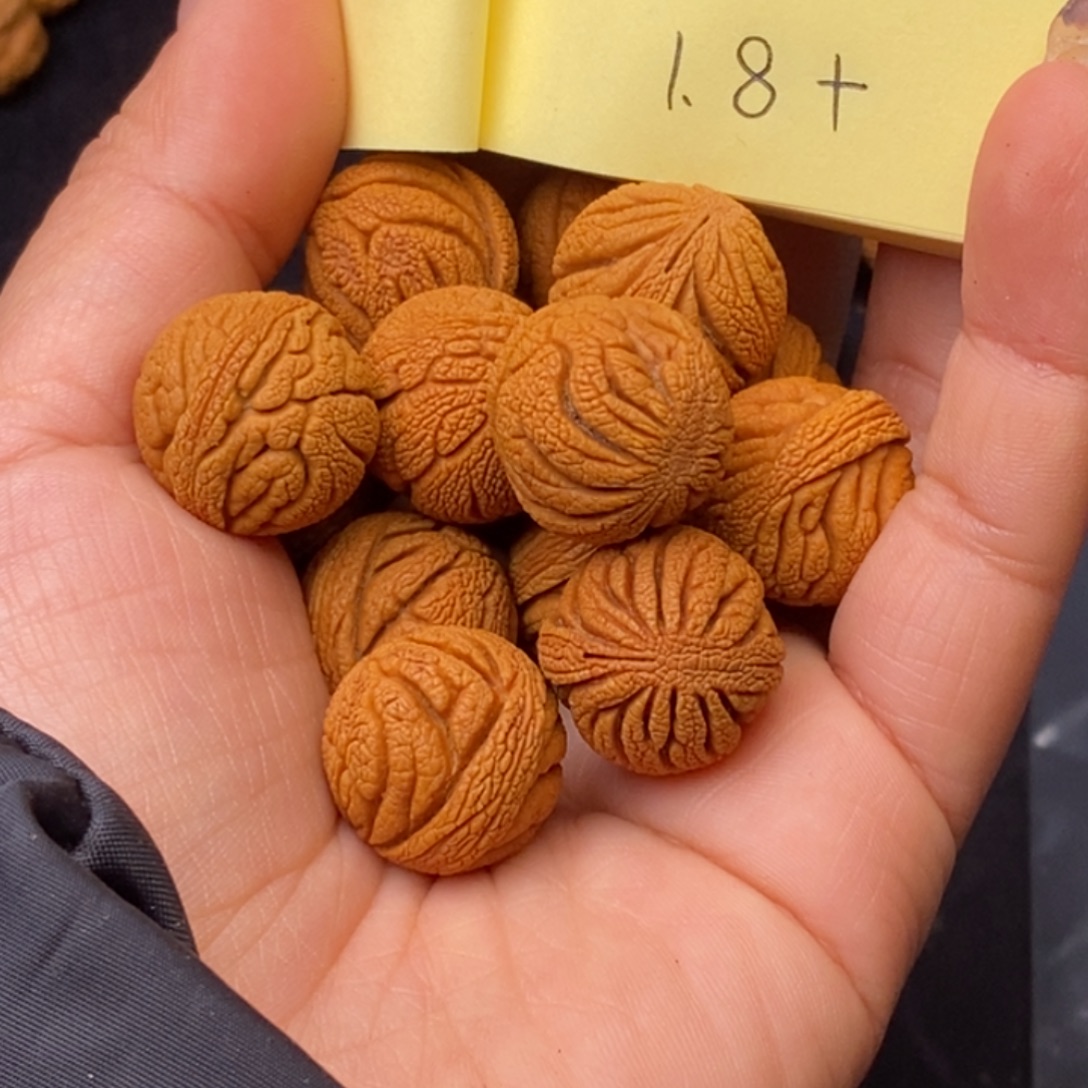 福****秦岭龙纹桃核14颗