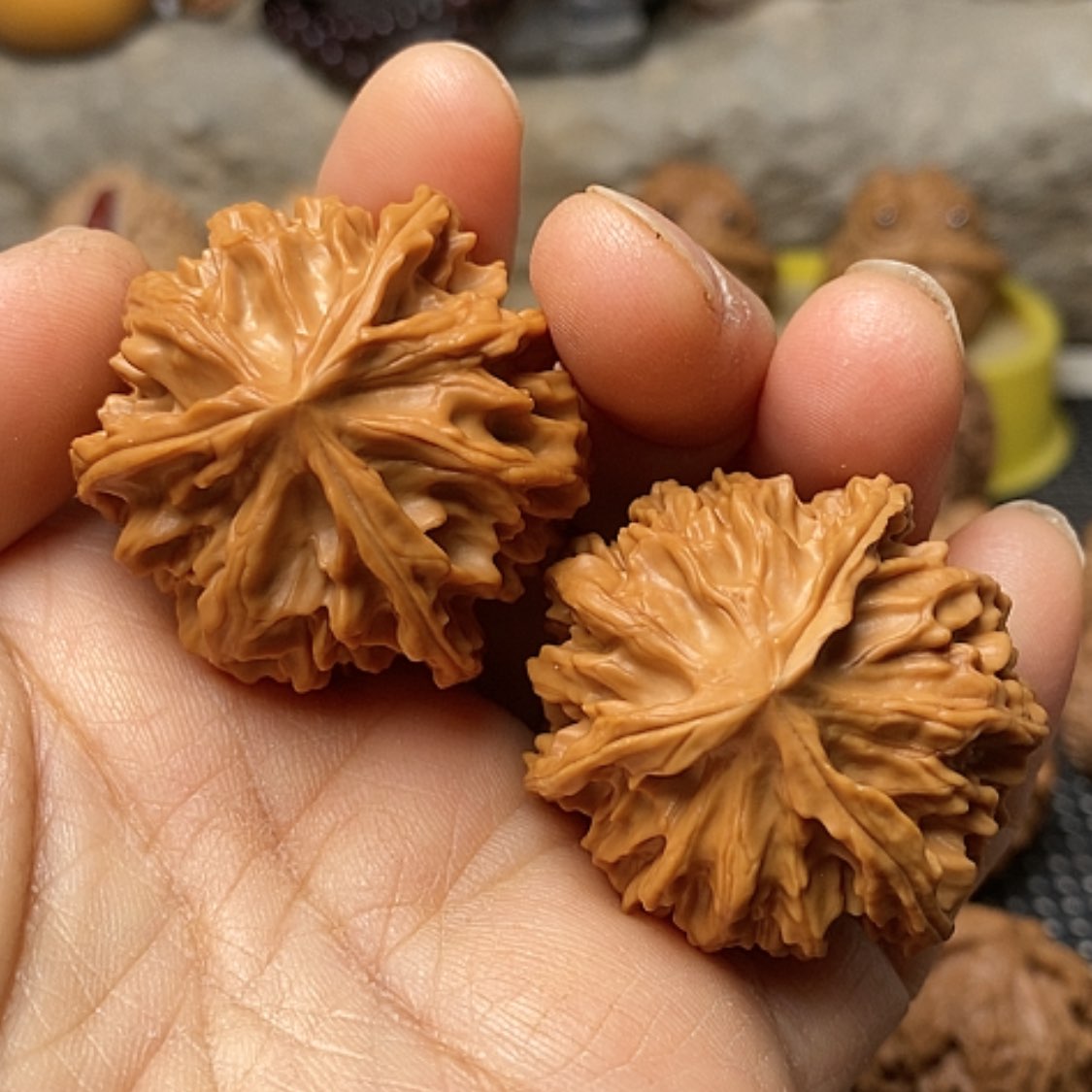 【闪购商品】把件文玩核桃三棱37