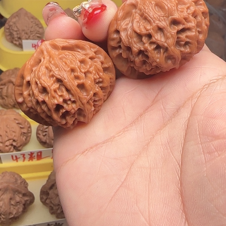 弯弯核桃宫等66米.42尺寸全品