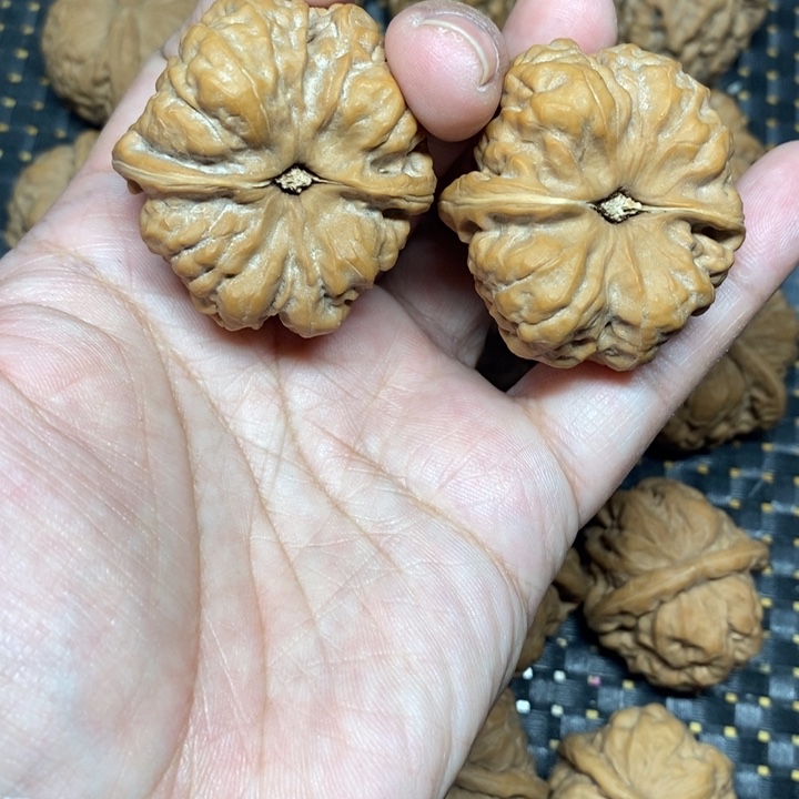 核桃其他天*蛤蟆头。     