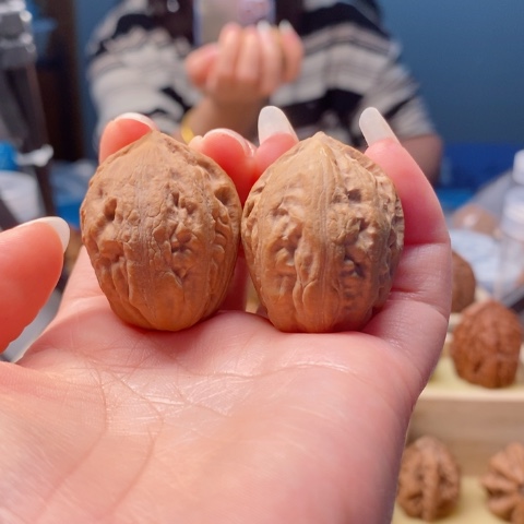 桃核把件清***气小肉球楸