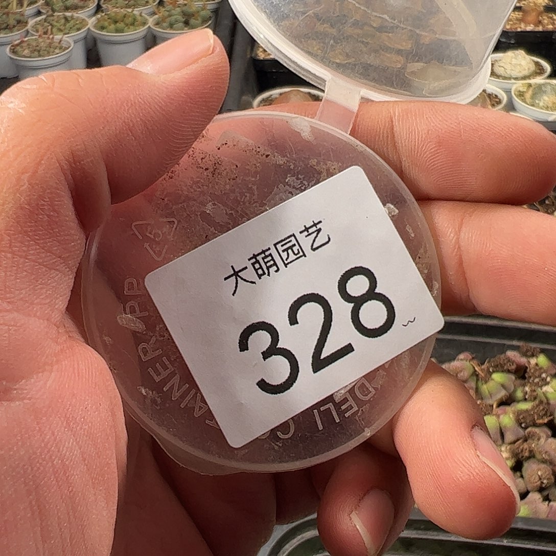 金****一物一拍。      328