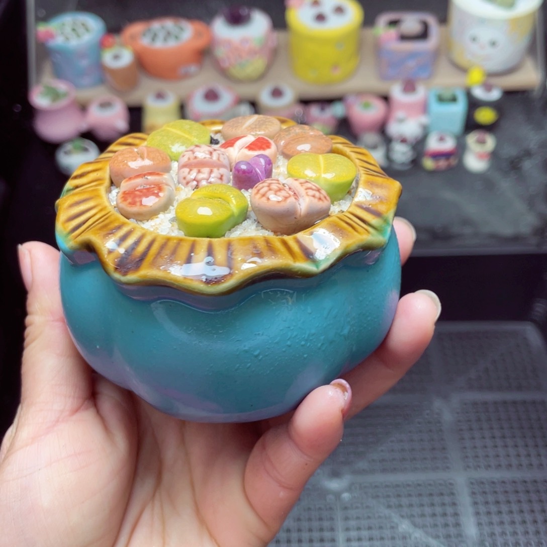 w9102 -零下地区拍保温箱-15支持寄养