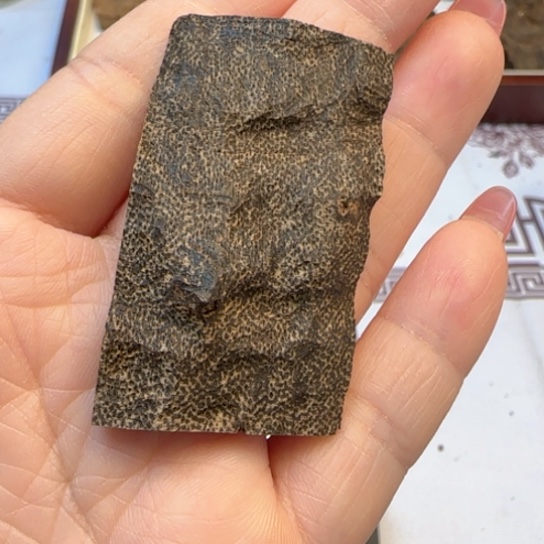 沉香摆件秋**叶海南厚包头4.4克