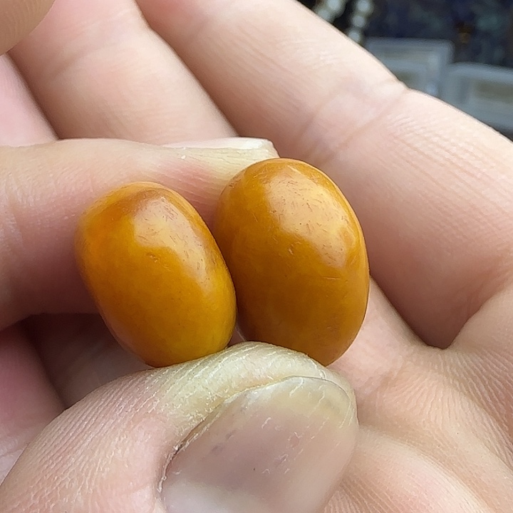 生***花白玉菩提吊坠精品