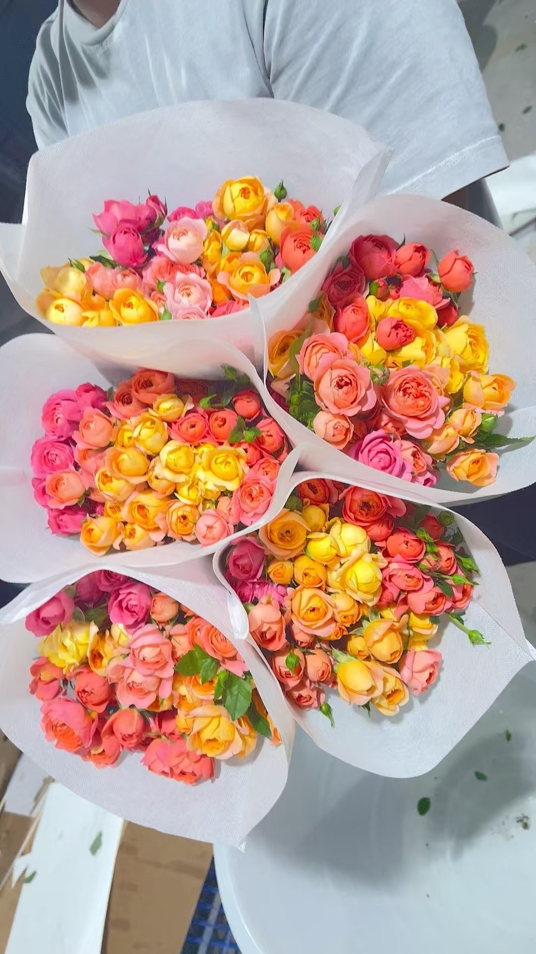 【源头一手价】混色泡泡10支 多头玫瑰云南基地鲜花 直发  家养水养