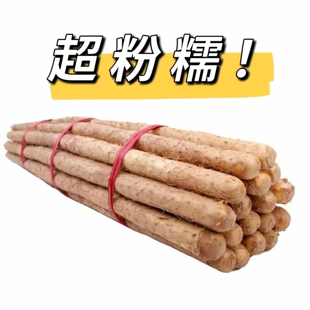 （果王）新鲜铁棍山药软糯香甜营养丰富垆土种植60-80cm净重4.5-5斤