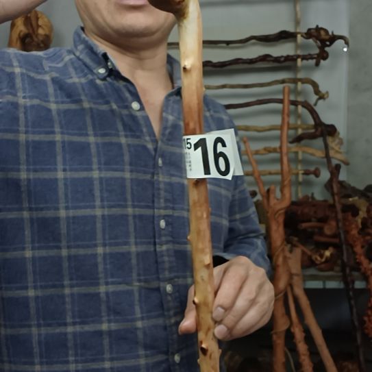 用***8香榧木高山 檬子木文玩料