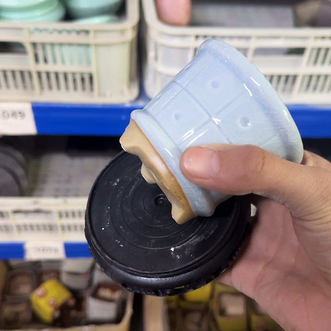 陶瓷···送一个托盘满9包邮发···1025