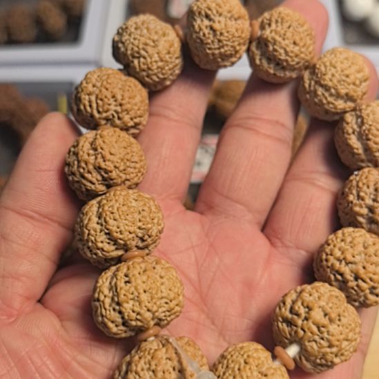 金刚菩提手串菠萝蜜大金刚手串，全品无黄，没有歪籽