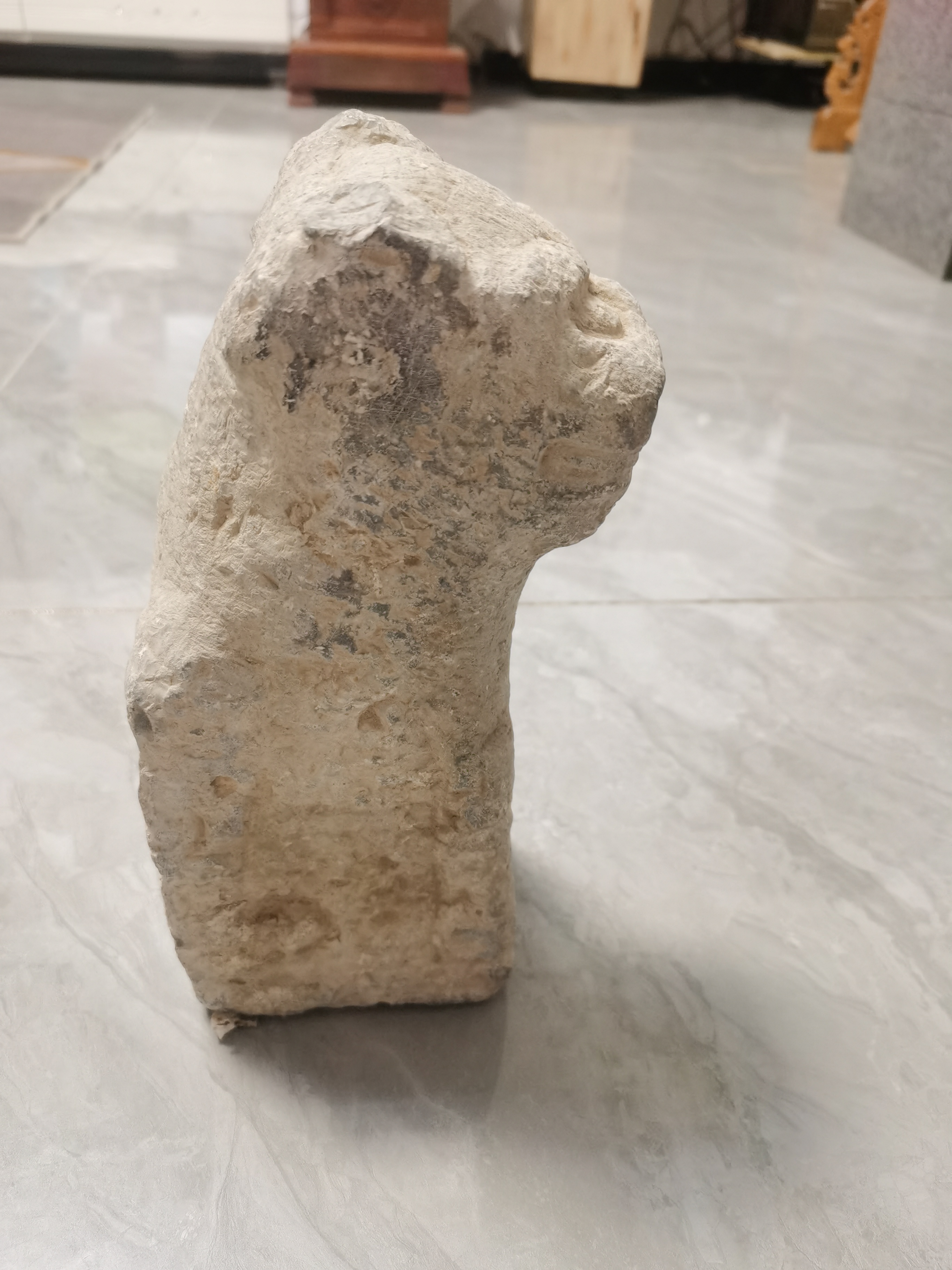 明代         小狮子