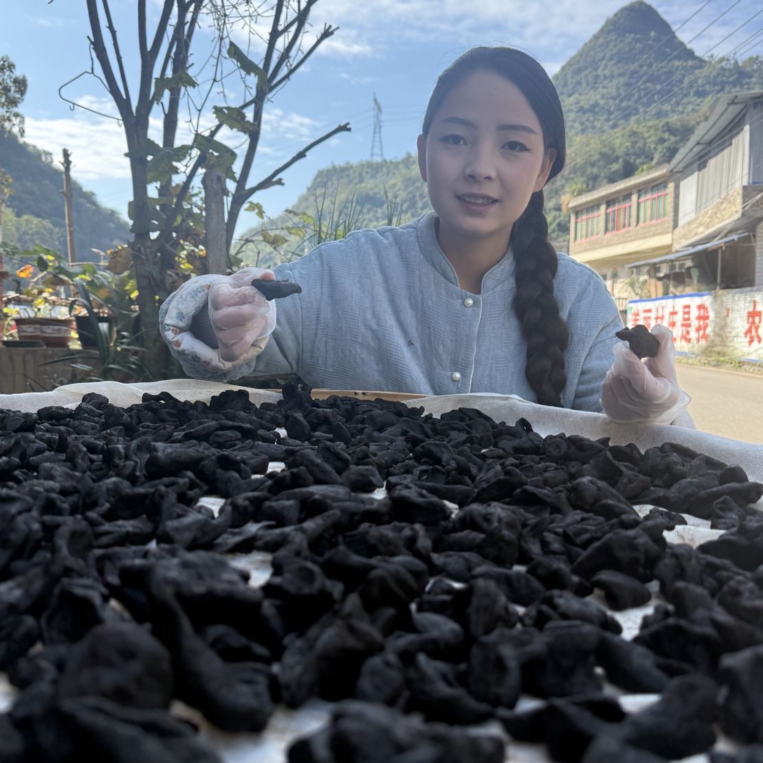 【金穗草本坊】贵州深山野生老姜柴火九蒸九晒炮制 顺丰发货