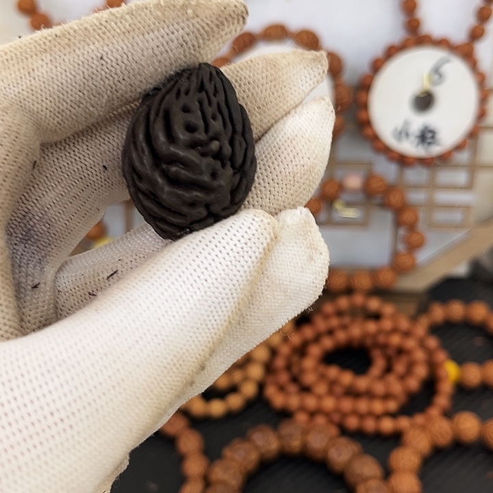 A***A他枭枭125565688885588