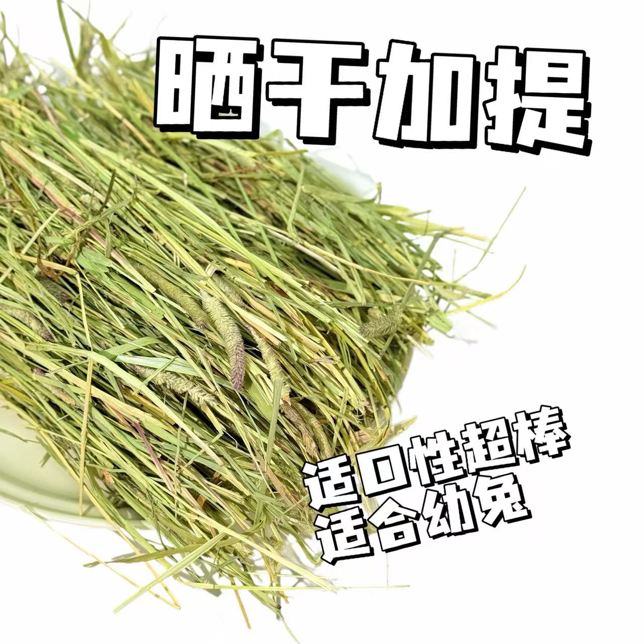 大山兔舍·加提进口提摩西加提一番进口提摩西手挑提草