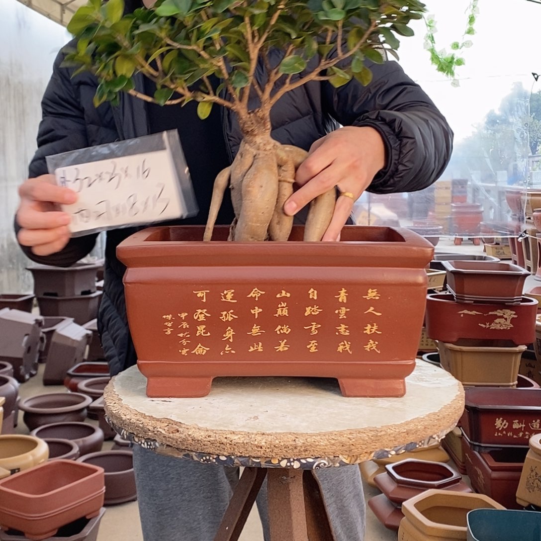 花盆紫砂紫砂花盆