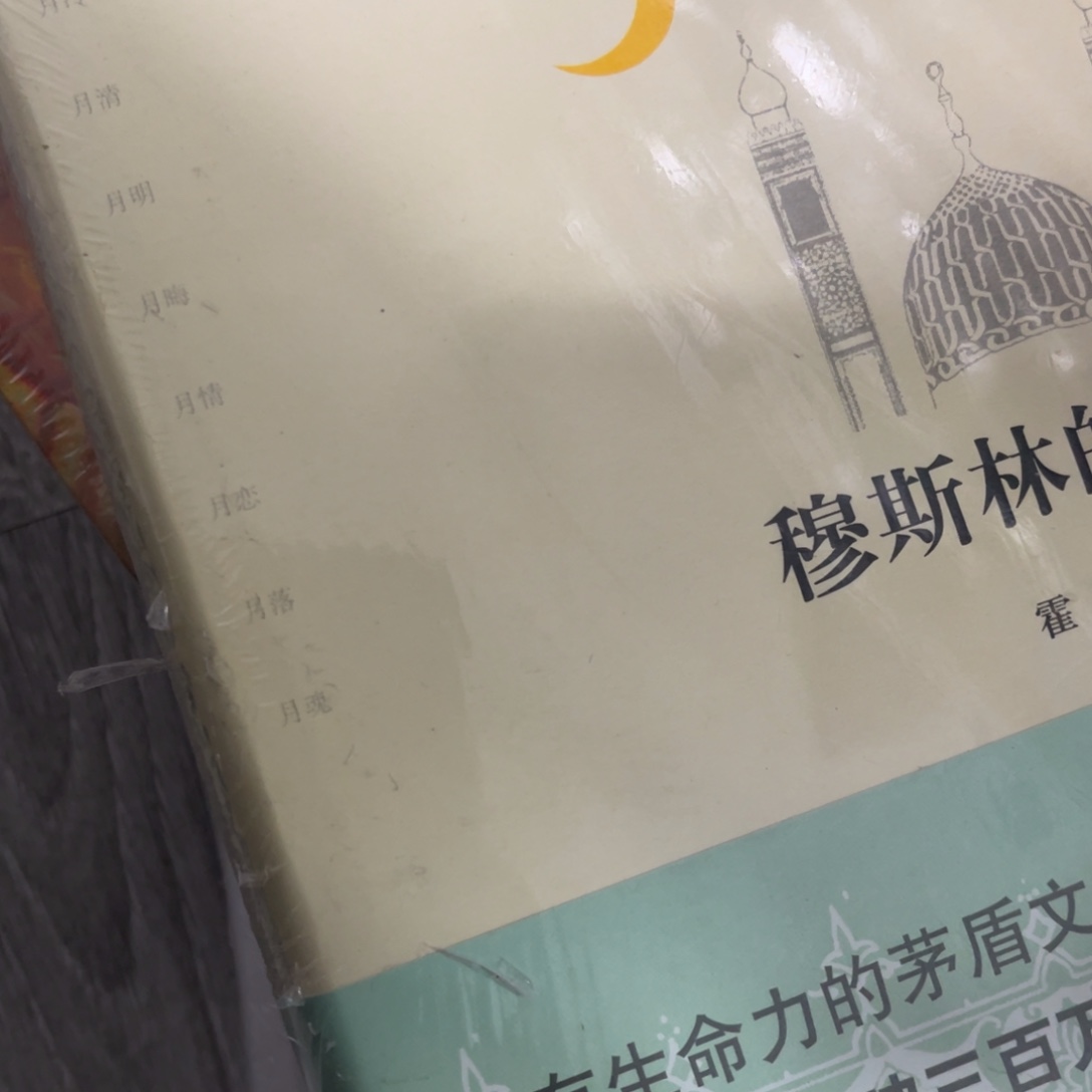 C****穆斯林的葬礼精装一个