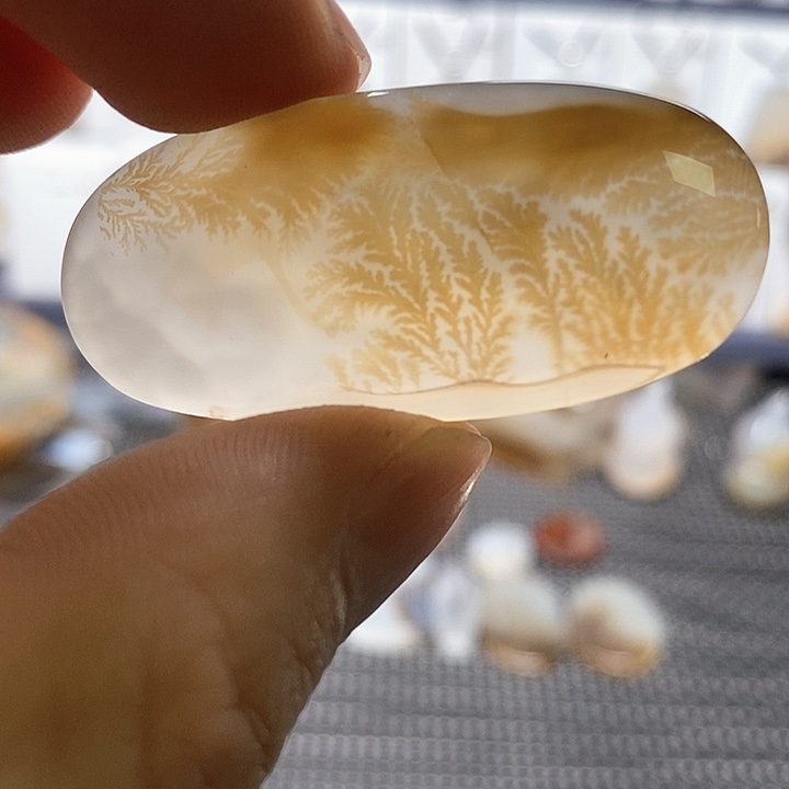 未镶嵌玛瑙/玉髓珠宝奇石叶*枫