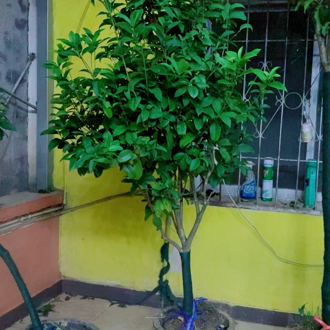 张***姐完全开放4多四级桂