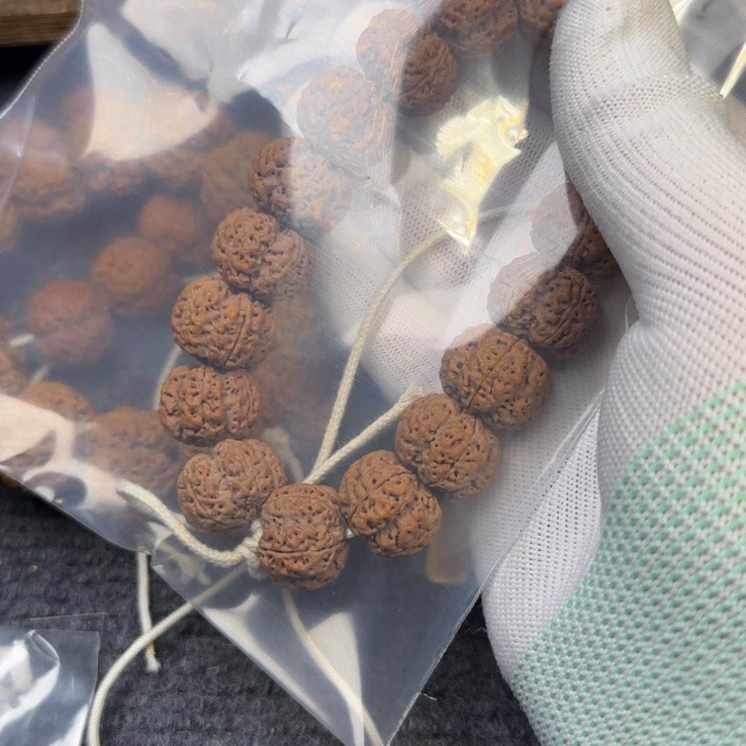 菩提金刚菩提21梁梅花