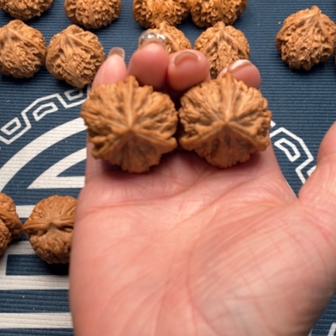 橄榄核手串/手链文山三棱35全品