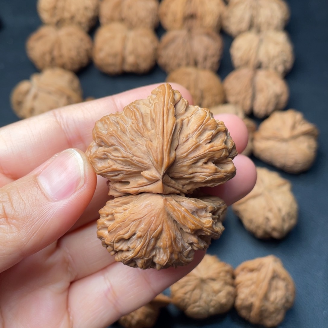 文玩核桃吊坠52白狮子角