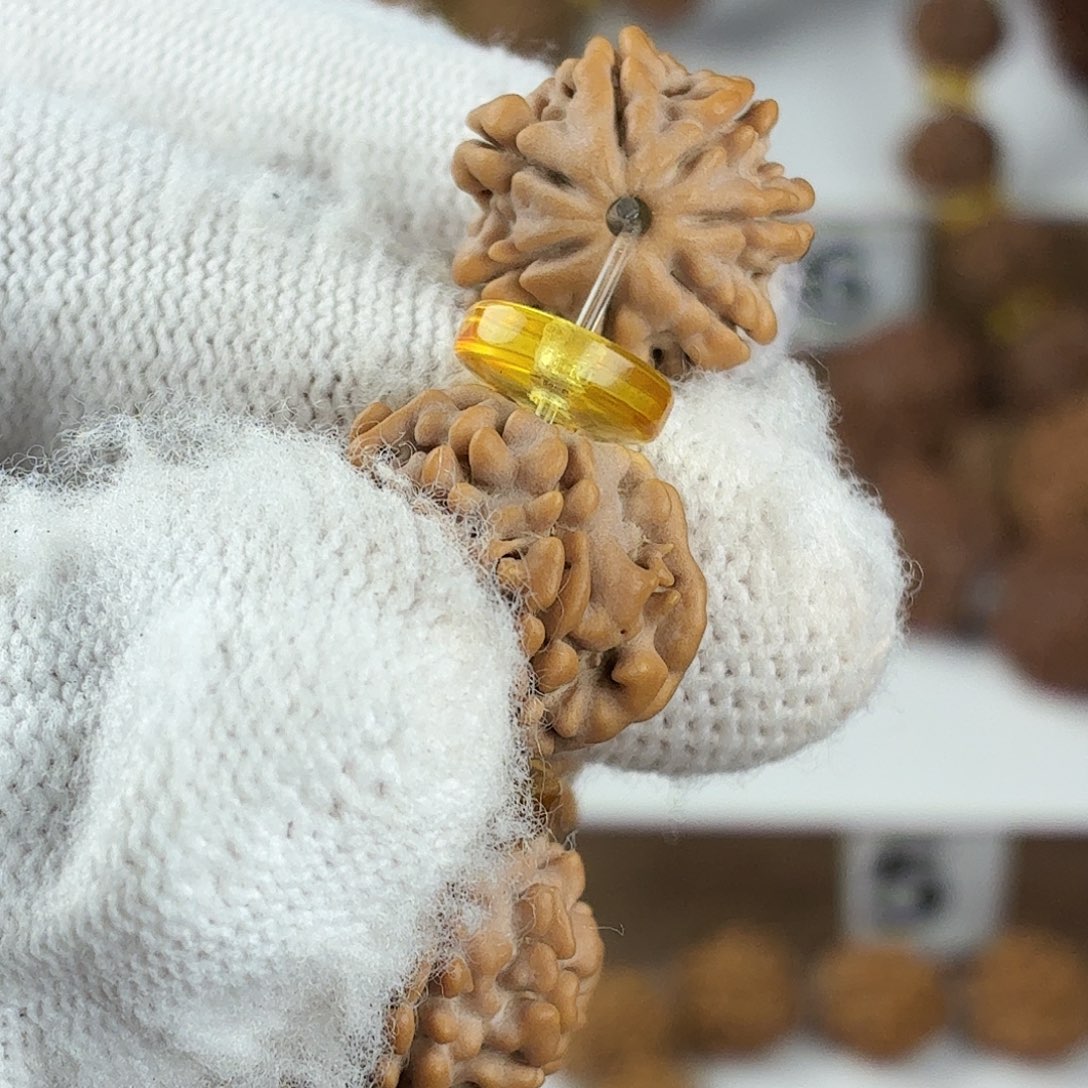 吊坠金刚菩提原生态精品稀有7瓣高货