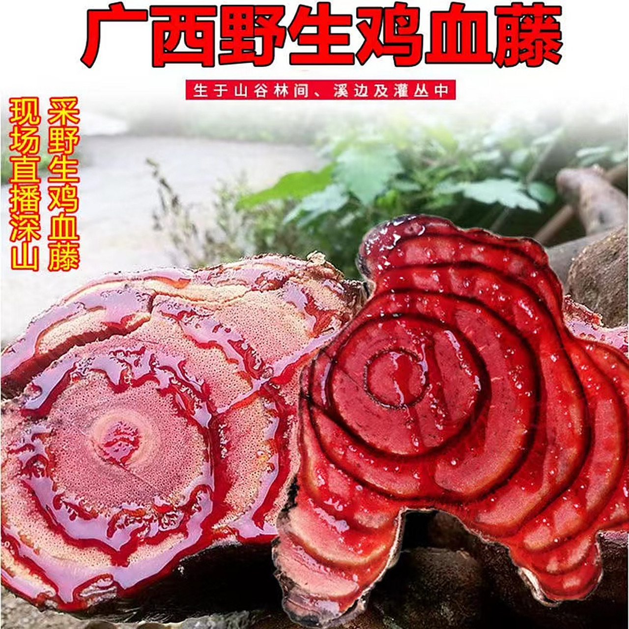 广西深山精选鸡血藤百年老藤梗部干片可煲汤泡水
