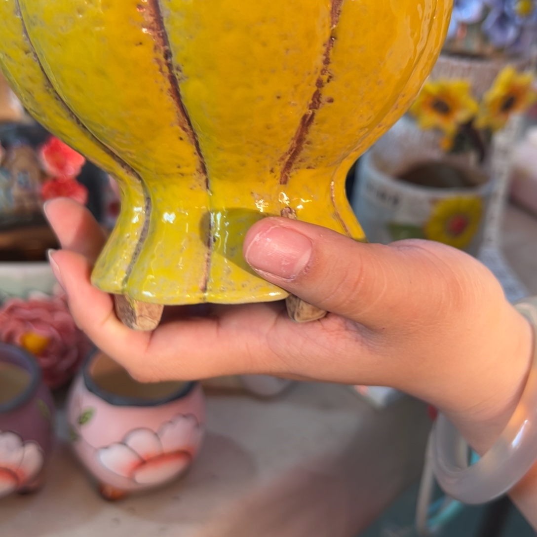 满20米秒退拉黑花盆