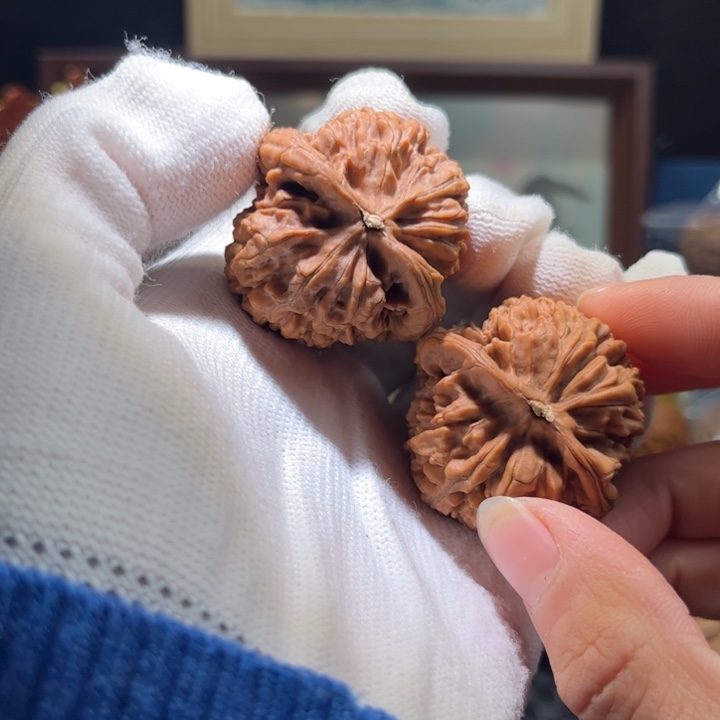 大***茶文玩核桃吊坠蚂蚁王