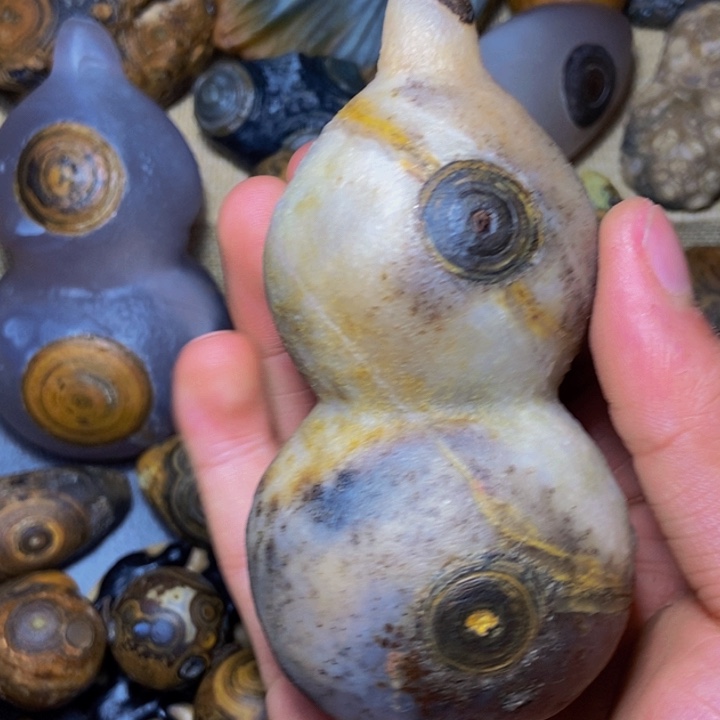 壹***哥大叶紫檀（黑酸枝木类）