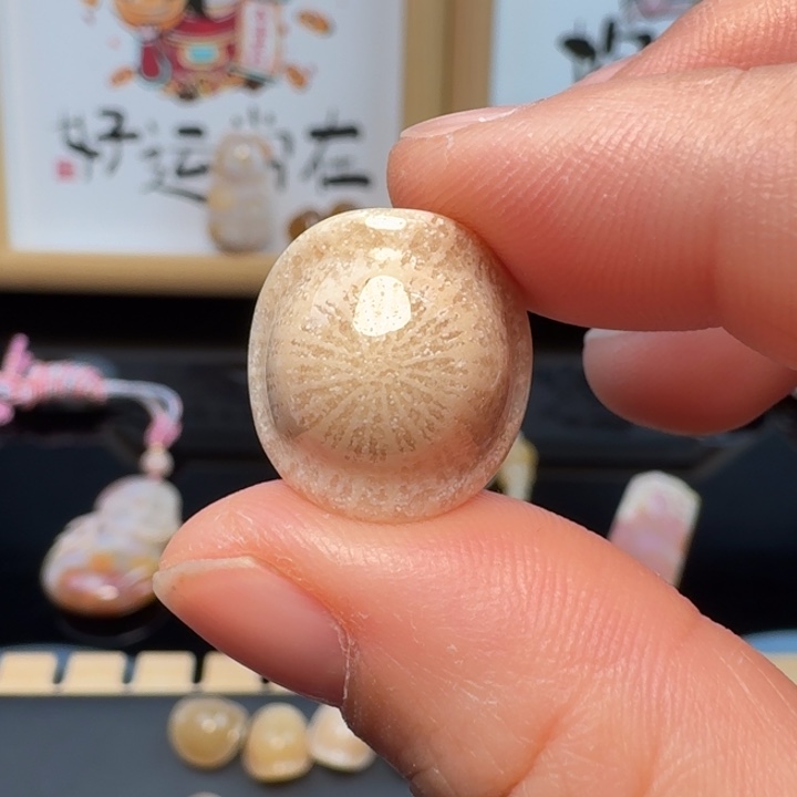 硅化玉合金颈饰珊瑚玉