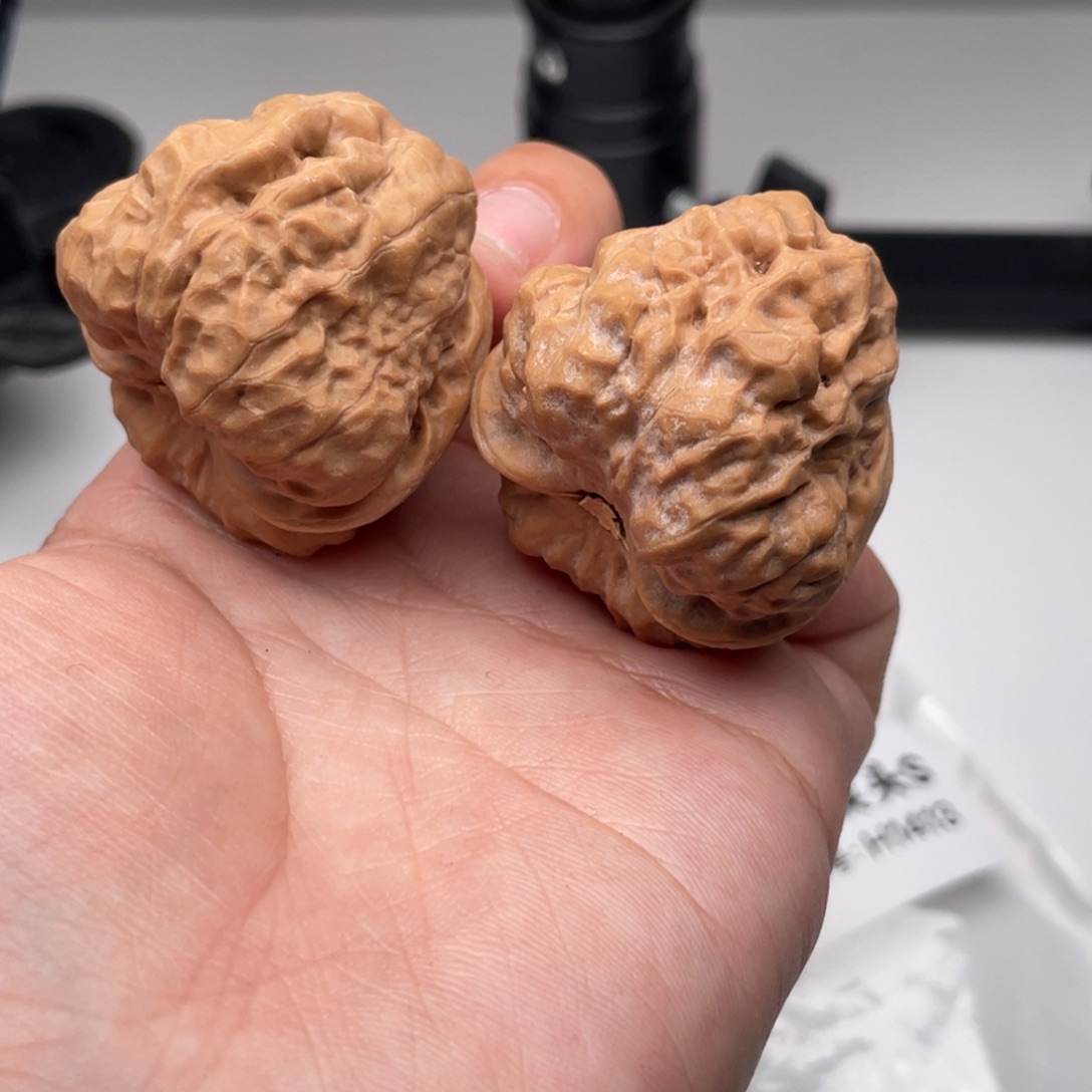 菩提籽类1413蛙蛙蛙