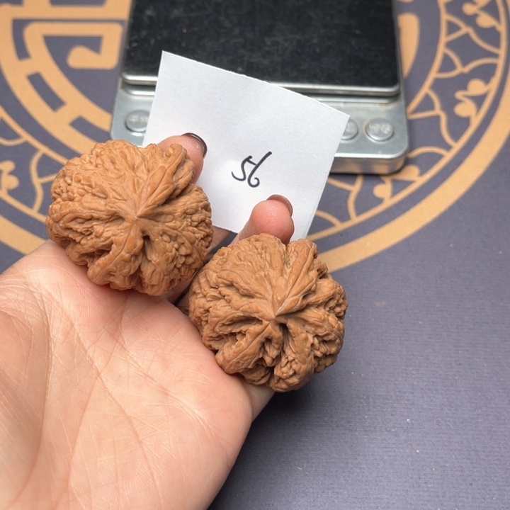 文玩核桃把件39粗筋小鸟