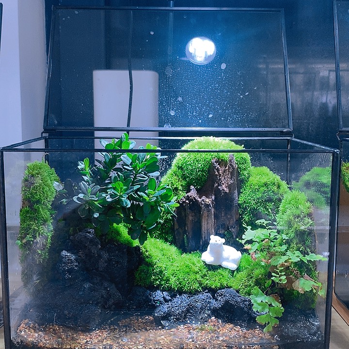 无花朵下播睡觉吧