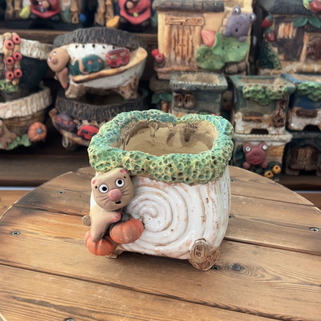 红陶嘻哈多肉花盆