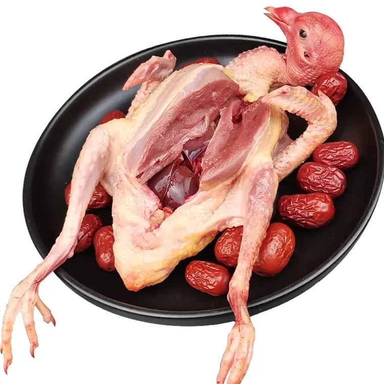    生鲜鸽子肉适合多种烹饪方式的美味食材   