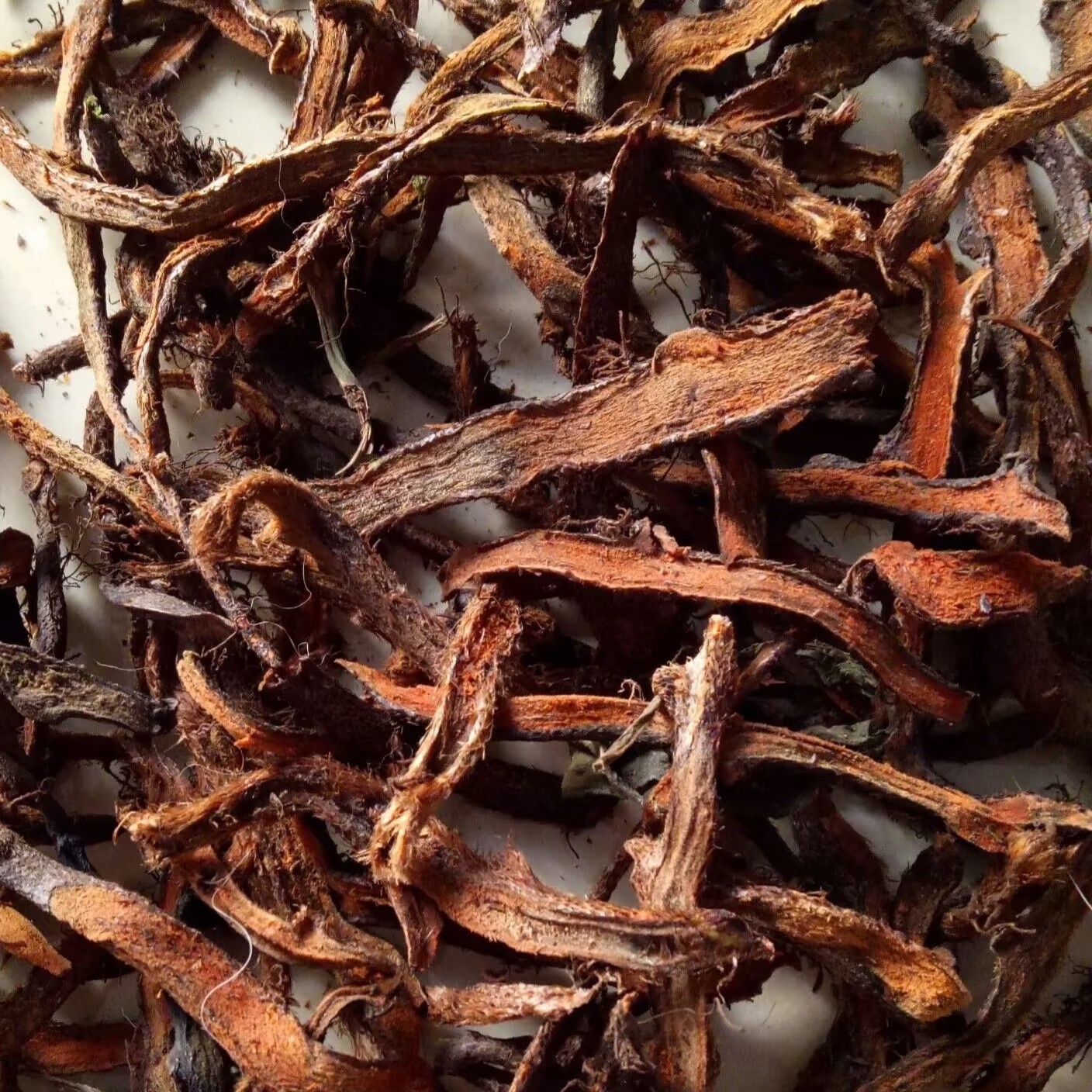 云南新鲜骨碎补煲汤煮粥泡酒