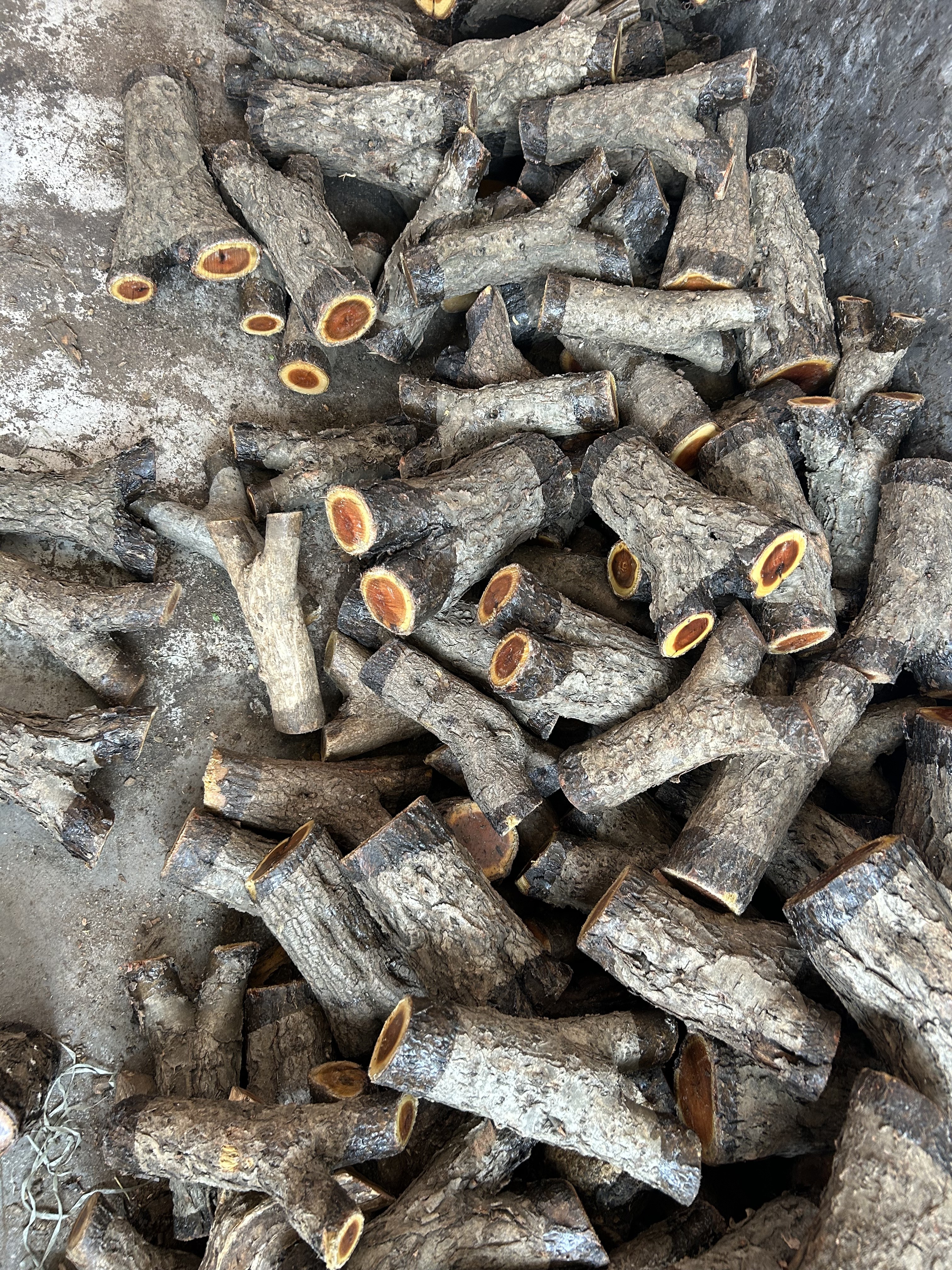 宝哥火琉璃麻利原木料