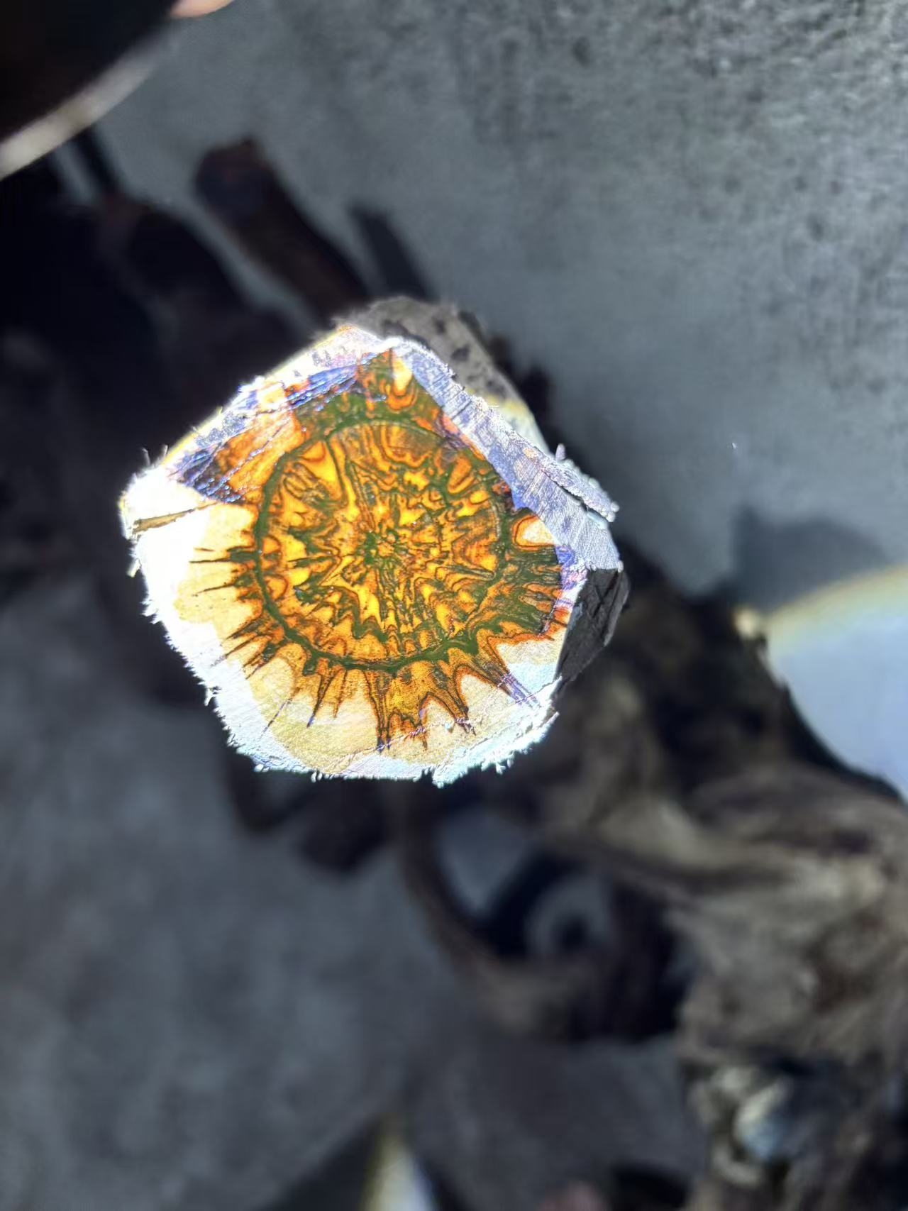 眼蜘蛛木料摆件好看