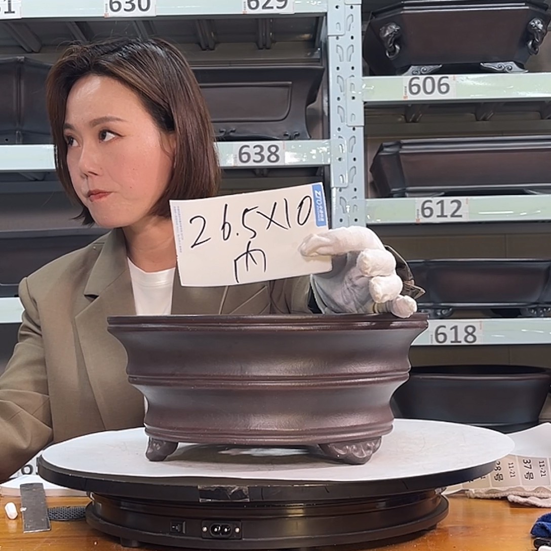 花盆紫砂宜兴紫砂24号
