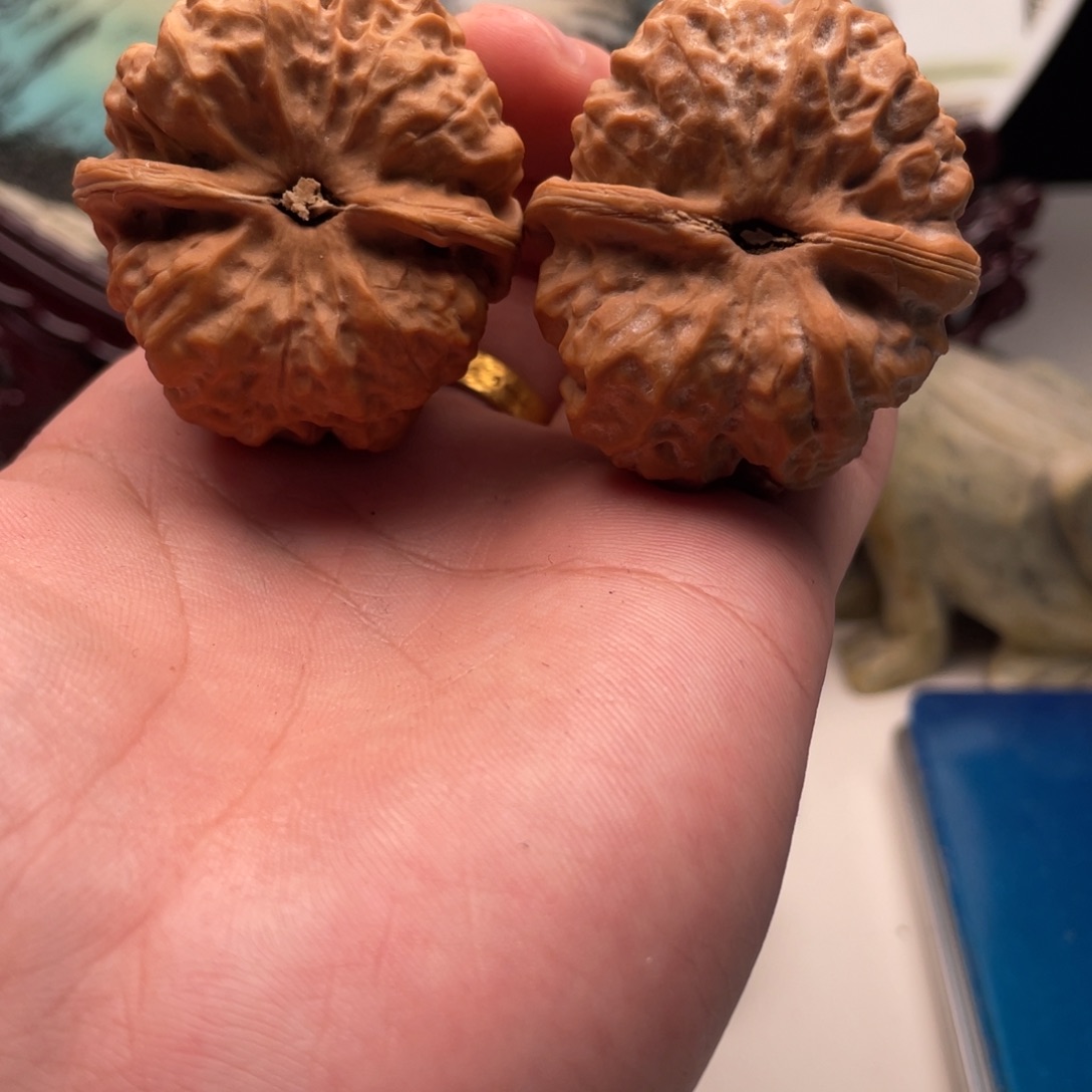 F***n核桃蛤蟆头文玩C21