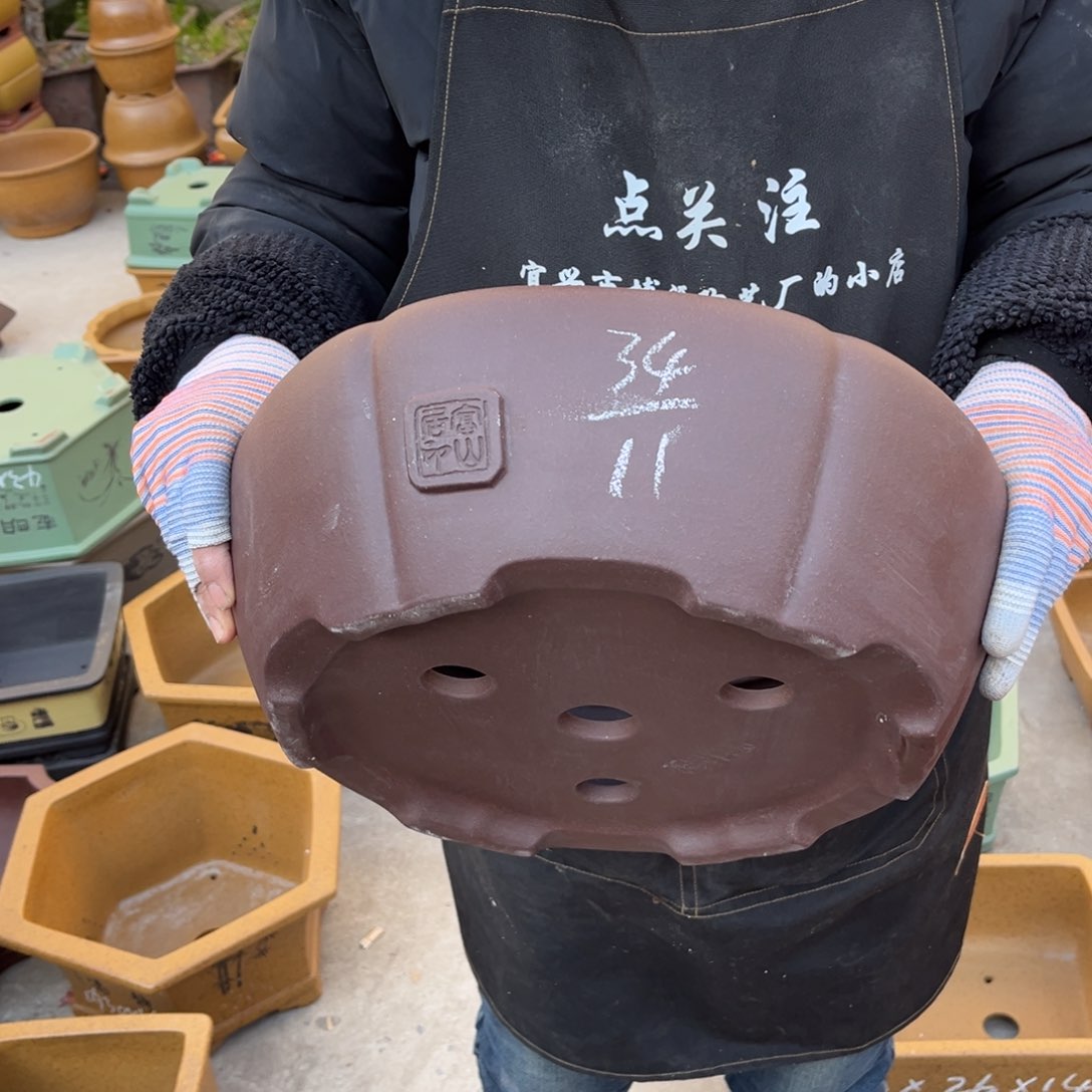 紫砂花盆盆景艺术