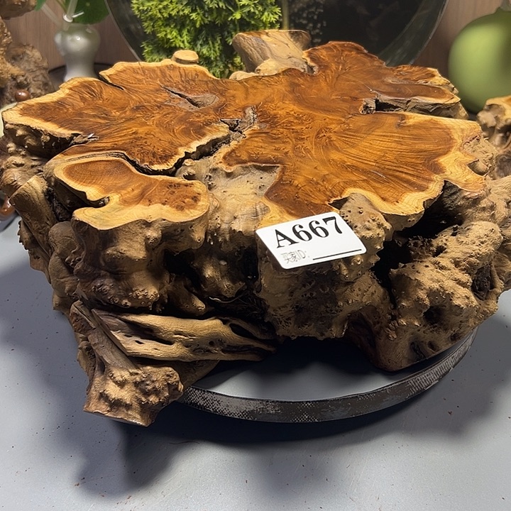 明***我大果紫檀（缅甸花梨）