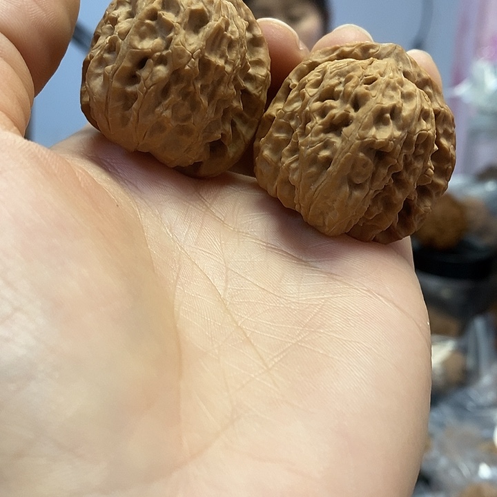 文玩核桃把件36白狮子老树